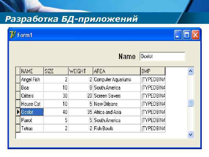 Разработка БД-приложений 