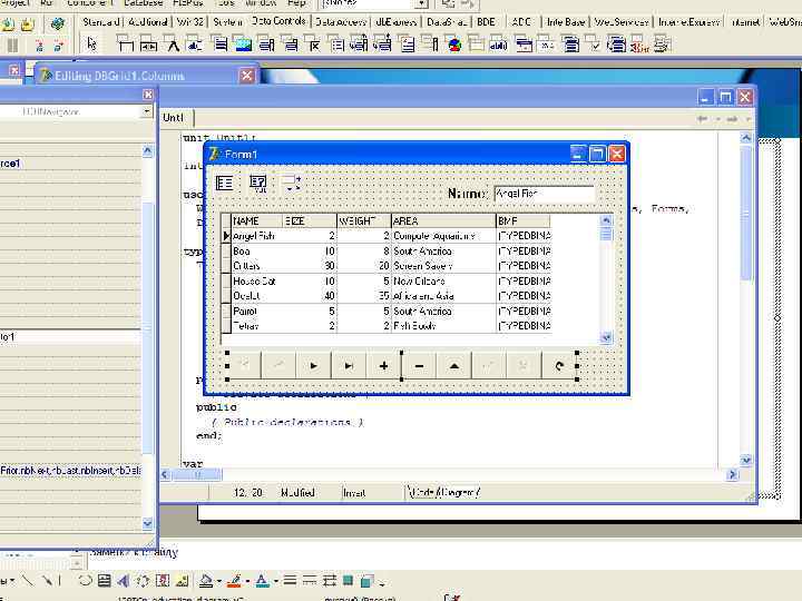 Разработка БД-приложений 