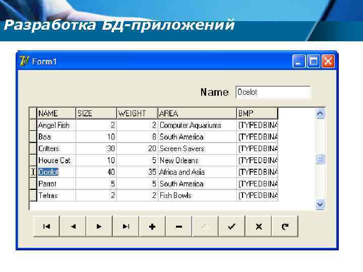 Разработка БД-приложений 