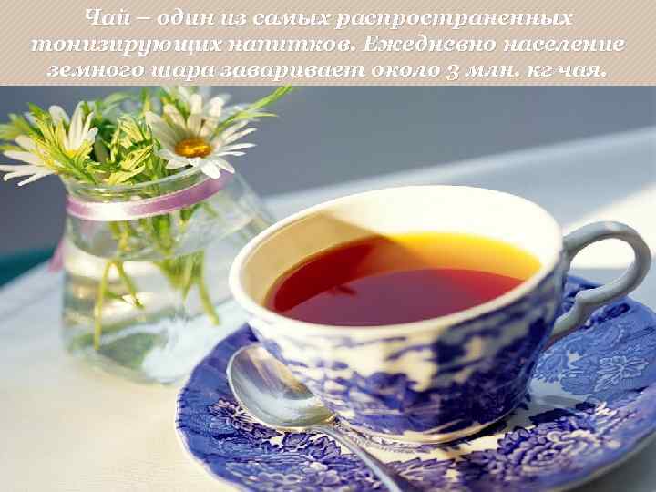 Чай – один из самых распространенных тонизирующих напитков. Ежедневно население земного шара заваривает около