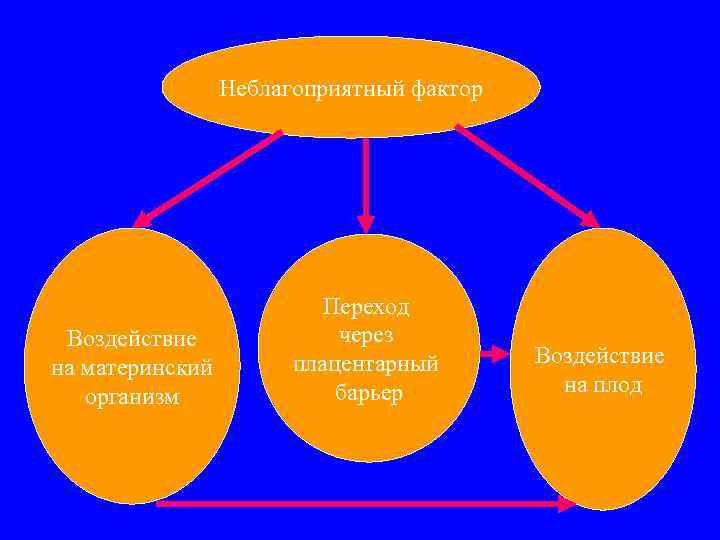 Неблагоприятный фактор Воздействие на материнский организм Переход через плацентарный барьер Воздействие на плод 
