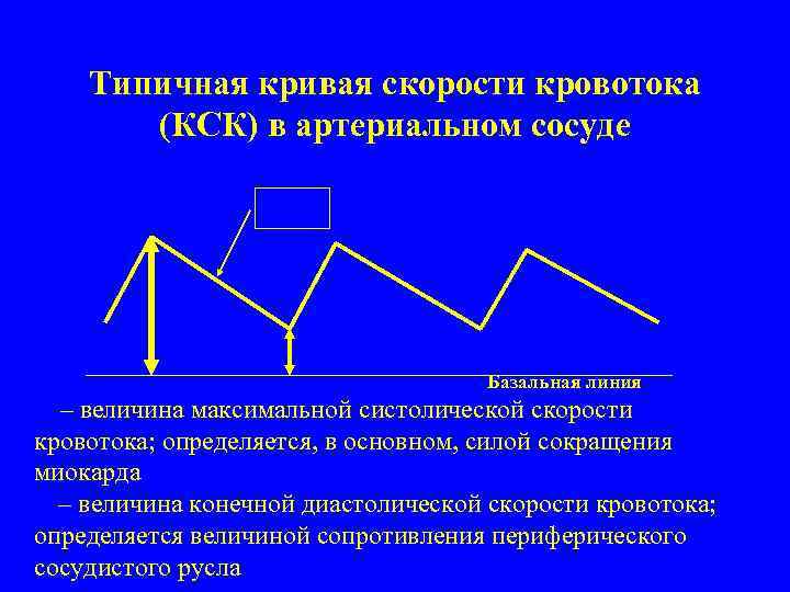 Типичная кривая скорости кровотока (КСК) в артериальном сосуде КСК А В Базальная линия А