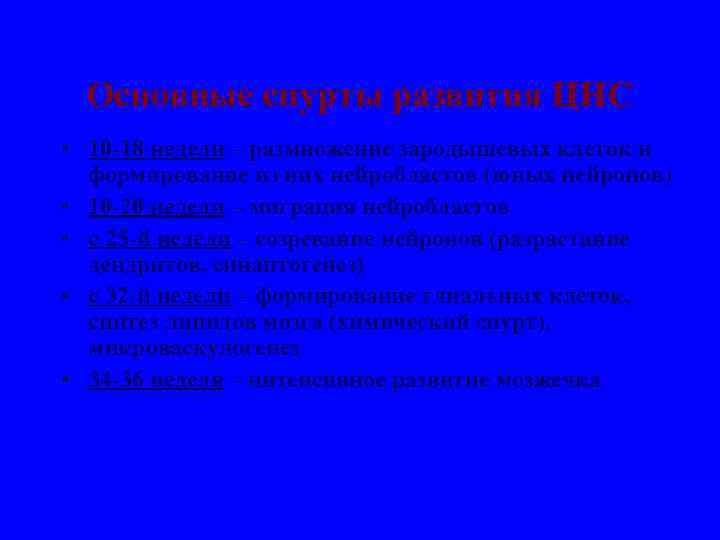 Основные спурты развития ЦНС • 10 -18 недели – размножение зародышевых клеток и формирование