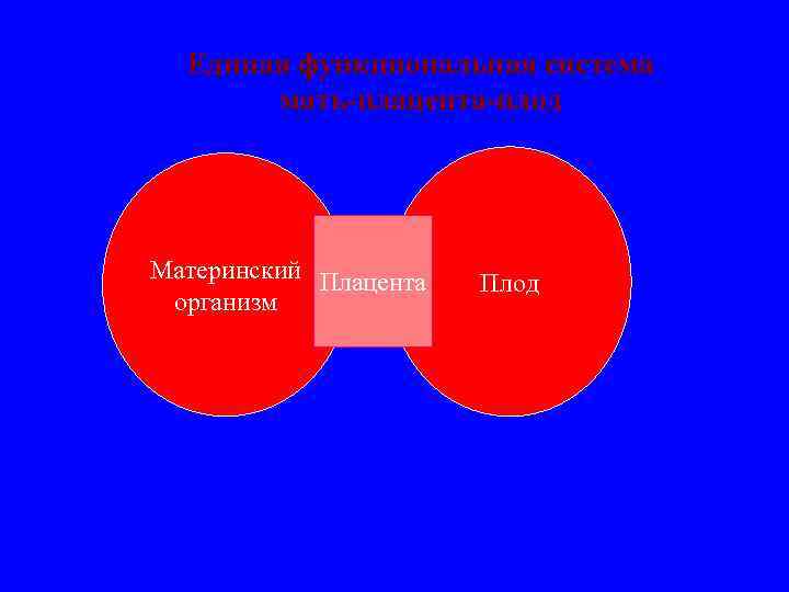 Единая функциональная система мать-плацента-плод Материнский Плацента организм Плод 