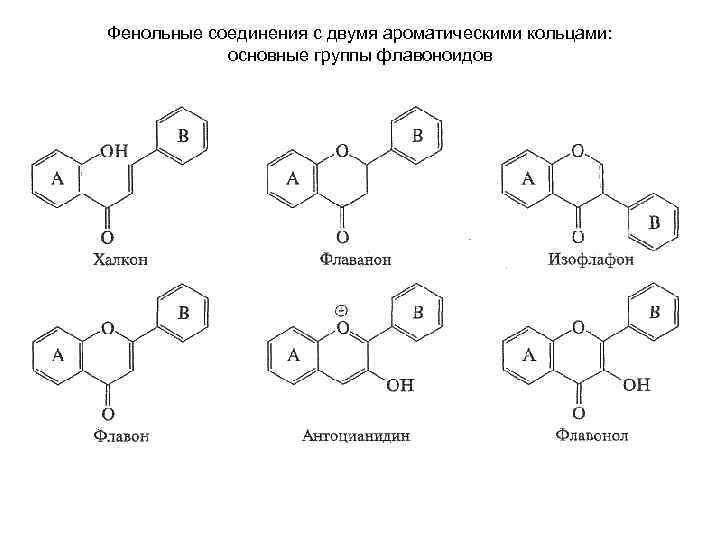 Фенольные соединения с двумя ароматическими кольцами: основные группы флавоноидов 