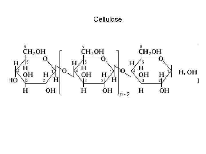 Продуктом гидролиза целлюлозы является. Строение целлюлозы структурная формула.