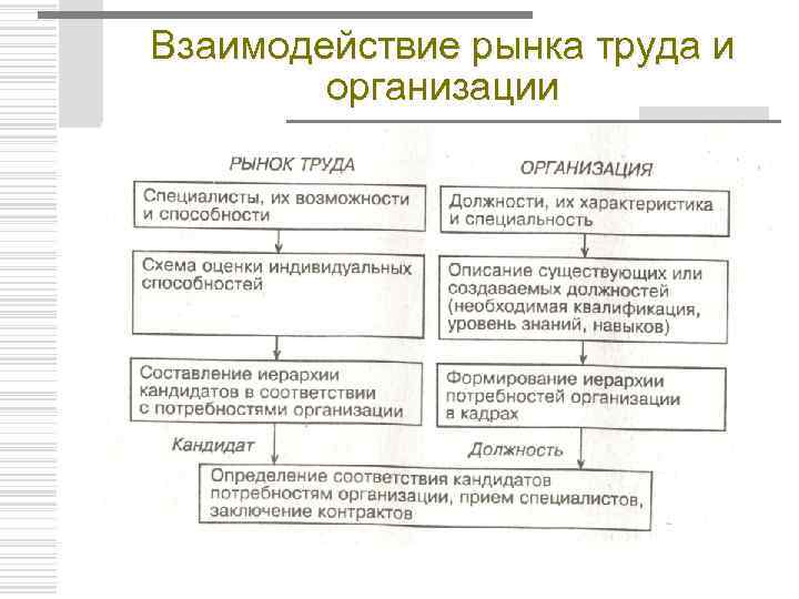 Взаимодействие рынка труда и организации 