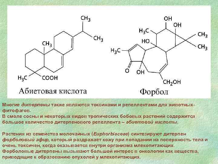 Многие дитерпены также являются токсинами и репеллентами для животныхфитофагов. В смоле сосны и некоторых