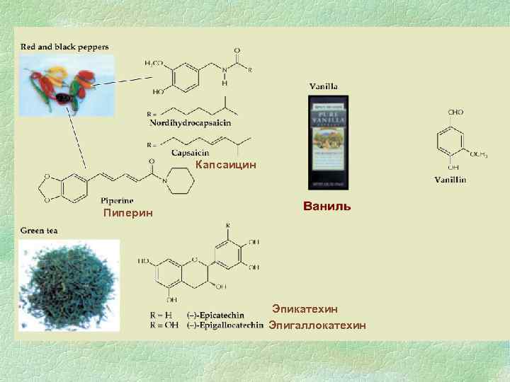 Капсаицин Пиперин Эпикатехин Эпигаллокатехин 