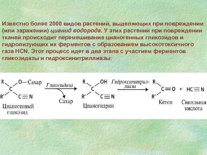 Известно более 2000 видов растений, выделяющих при повреждении (или заражении) цианид водорода. У этих