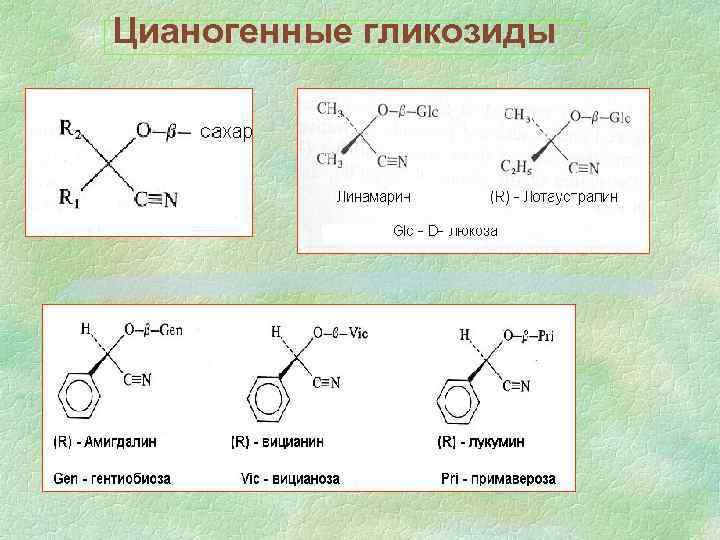 Цианогенные гликозиды 