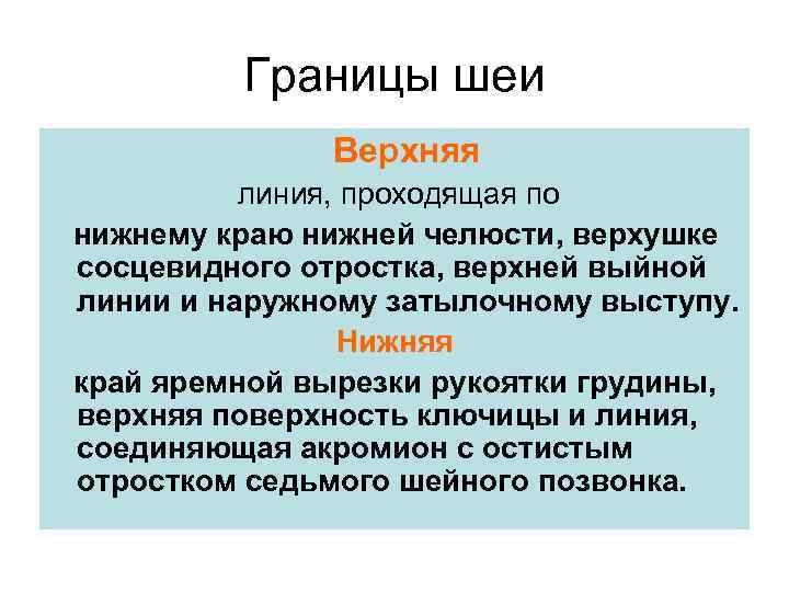 Границы шеи Верхняя линия, проходящая по нижнему краю нижней челюсти, верхушке сосцевидного отростка, верхней