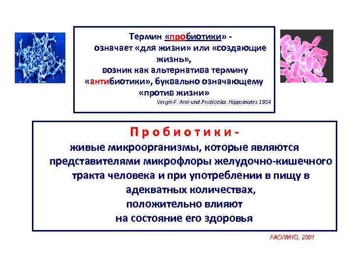  Термин «пробиотики» - означает «для жизни» или «создающие жизнь» , возник как альтернатива