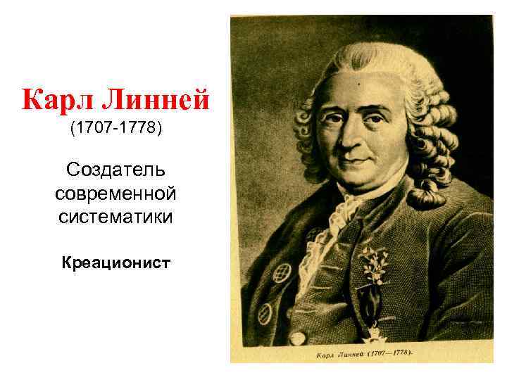 Карл Линней (1707 -1778) Создатель современной систематики Креационист 