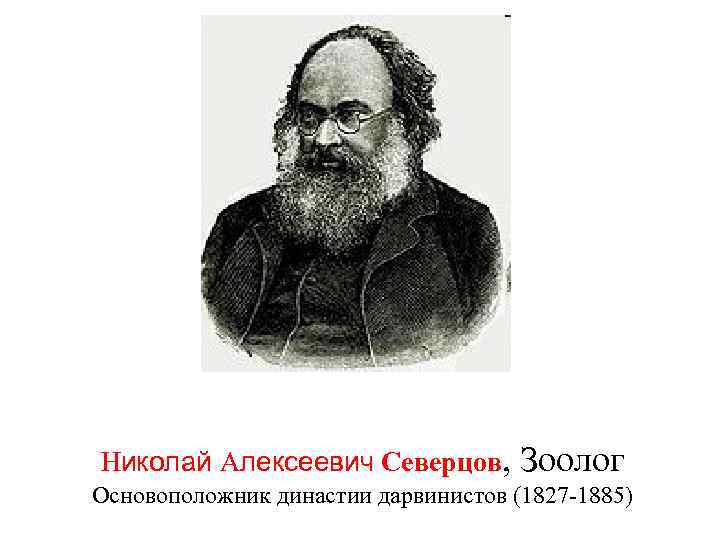 Николай Алексеевич Северцов, Зоолог Основоположник династии дарвинистов (1827 -1885) 