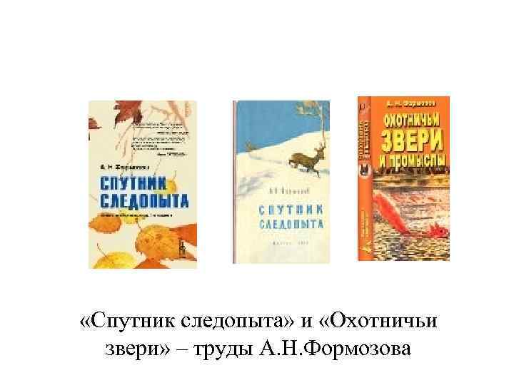  «Спутник следопыта» и «Охотничьи звери» – труды А. Н. Формозова 