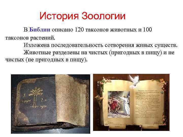 История Зоологии В Библии описано 120 таксонов животных и 100 таксонов растений. Изложена последовательность