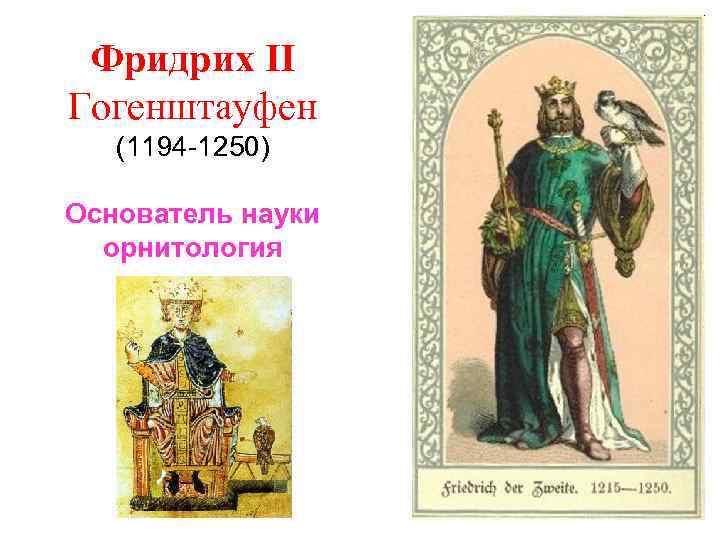 Фридрих II Гогенштауфен (1194 -1250) Основатель науки орнитология 