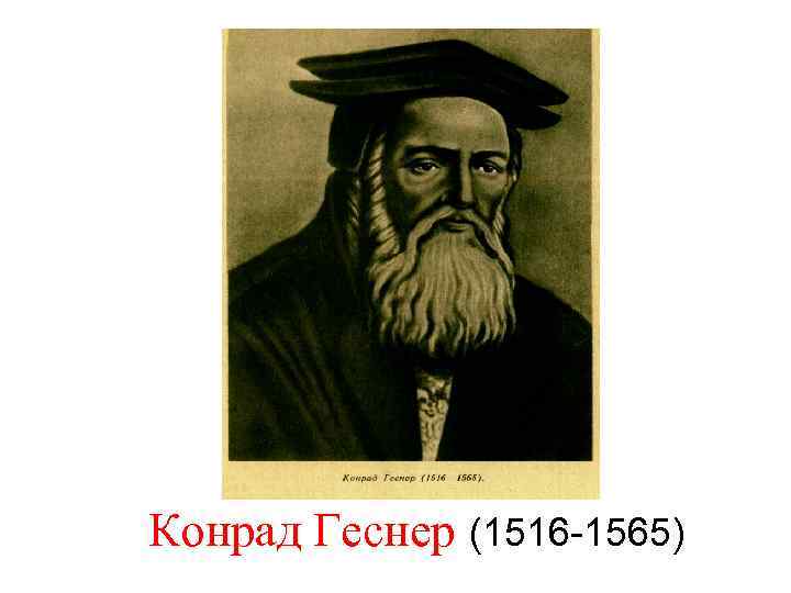Конрад Геснер (1516 -1565) 
