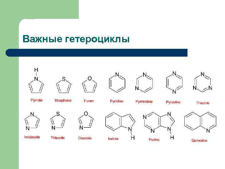 Важные гетероциклы 