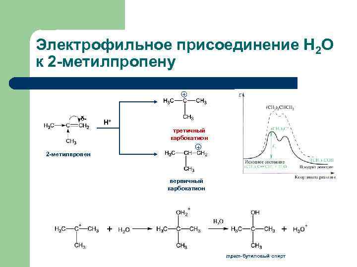Электрофильное присоединение Н 2 О к 2 -метилпропену + δ- Н+ третичный карбокатион 2