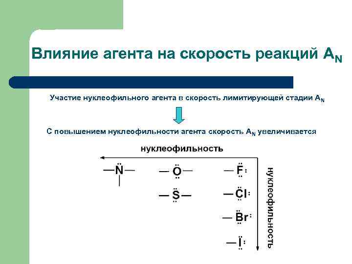 Влияние агента на скорость реакций АN Участие нуклеофильного агента в скорость лимитирующей стадии А