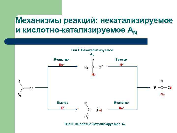 Механизмы реакций: некатализируемое и кислотно-катализируемое AN Тип I. Некатализируемое АN Медленно Быстро Nu- -