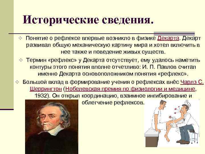 Исторические сведения. v Понятие о рефлексе впервые возникло в физике Декарта. Декарт развивал общую