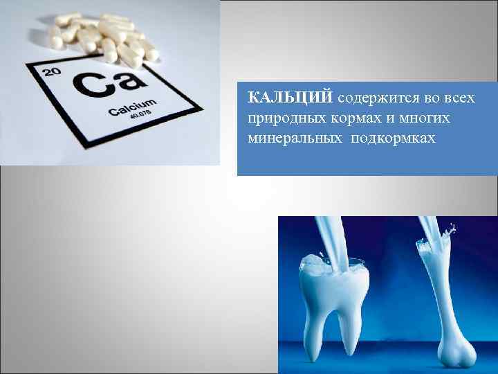 КАЛЬЦИЙ содержится во всех природных кормах и многих минеральных подкормках 