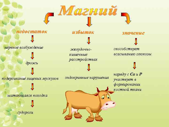 недостаток нервное возбуждение дрожь подергивание лицевых мускулов шатающаяся походка судороги избыток значение желудочнокишечные расстройствах