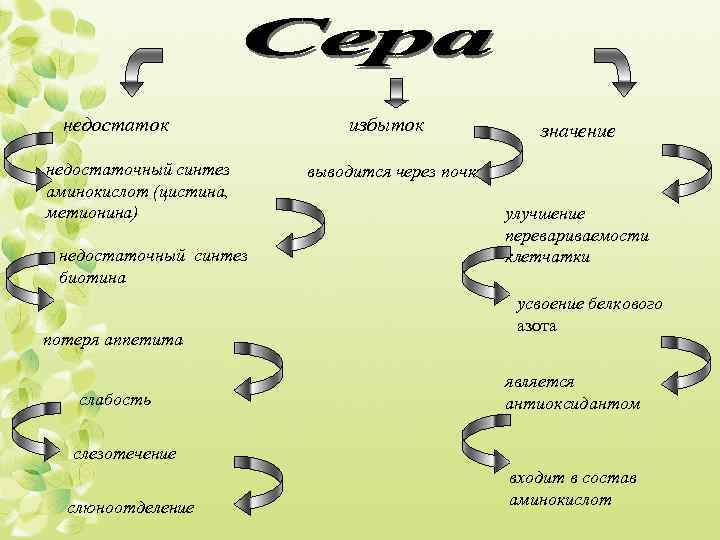 недостаток недостаточный синтез аминокислот (цистина, метионина) недостаточный синтез биотина потеря аппетита слабость избыток значение