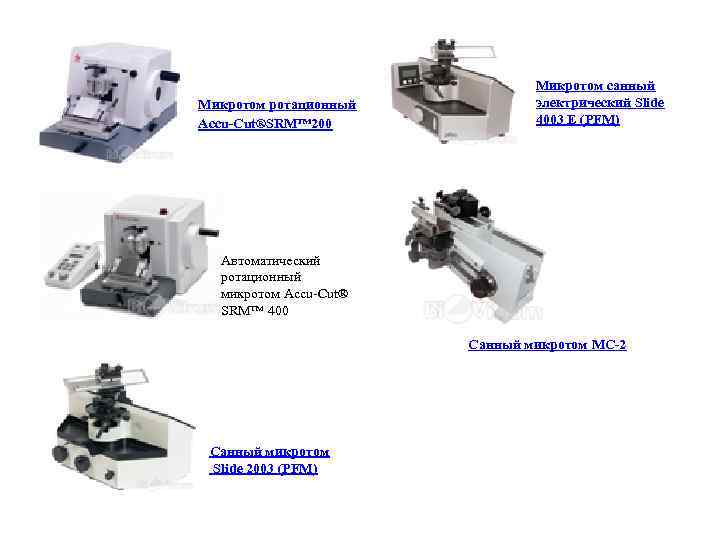 Санный микротом рисунок