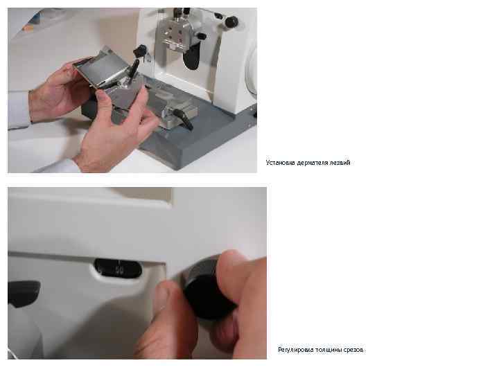 Установка держателя лезвий Регулировка толщины срезов 