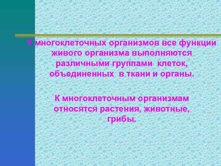 Роль живых организмов в мире. Функции живых организмов. Какова роль живых организмов в образовании почвы. Функционирования живых систем фоны. Ток в живых организмах кратко 5предлржений.