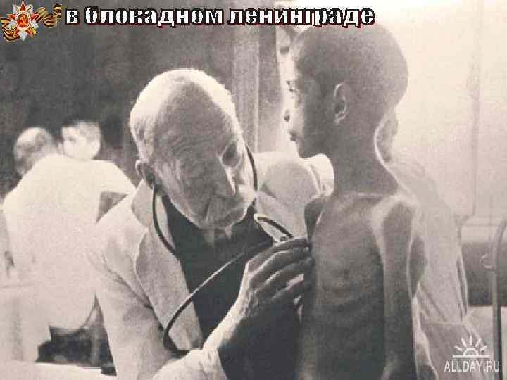 Наступил ноябрь Ладога стала понемногу затягиваться льдом. К 17 ноября толщина льда достигла 100