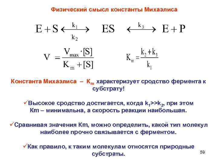 Физический смысл константы Михаэлиса Константа Михаэлиса – Кm характеризует сродство фермента к субстрату! üВысокое