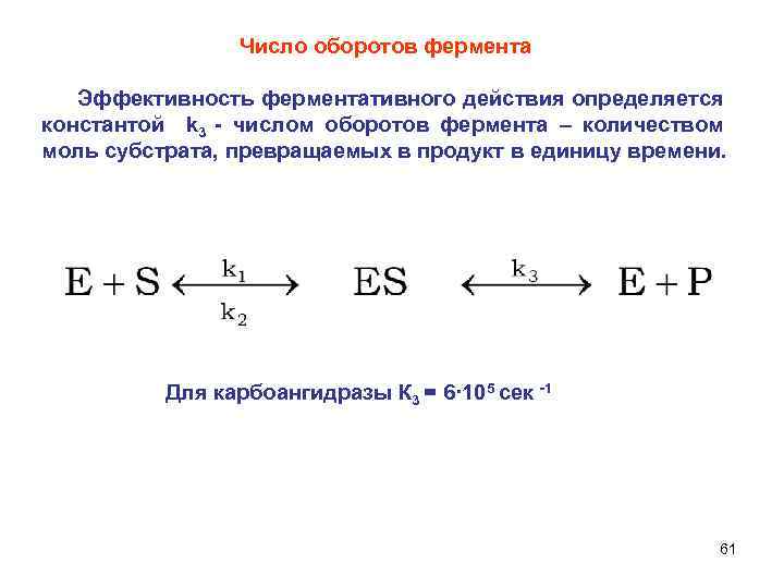 Число оборотов фермента Эффективность ферментативного действия определяется константой k 3 - числом оборотов фермента