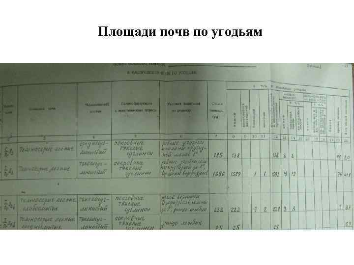 Площади почв по угодьям 