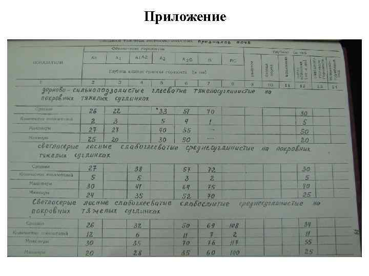 Приложение 