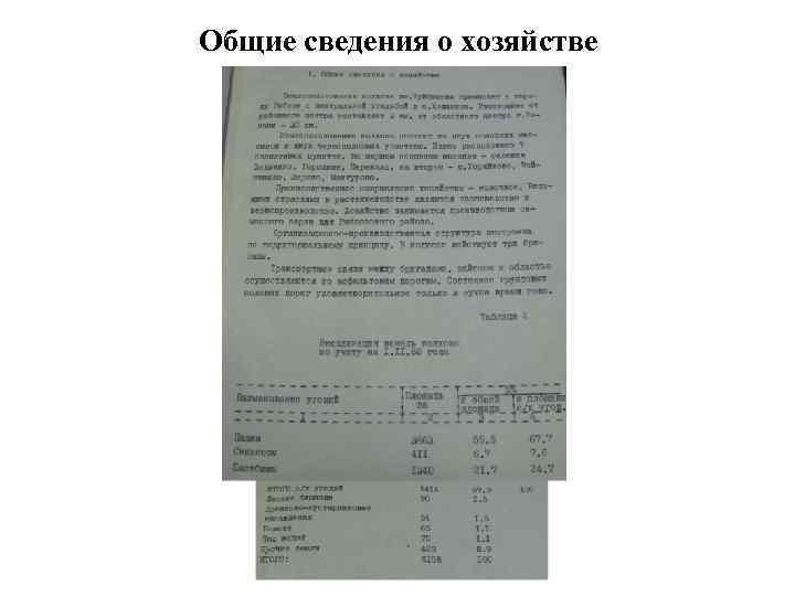 Общие сведения о хозяйстве 