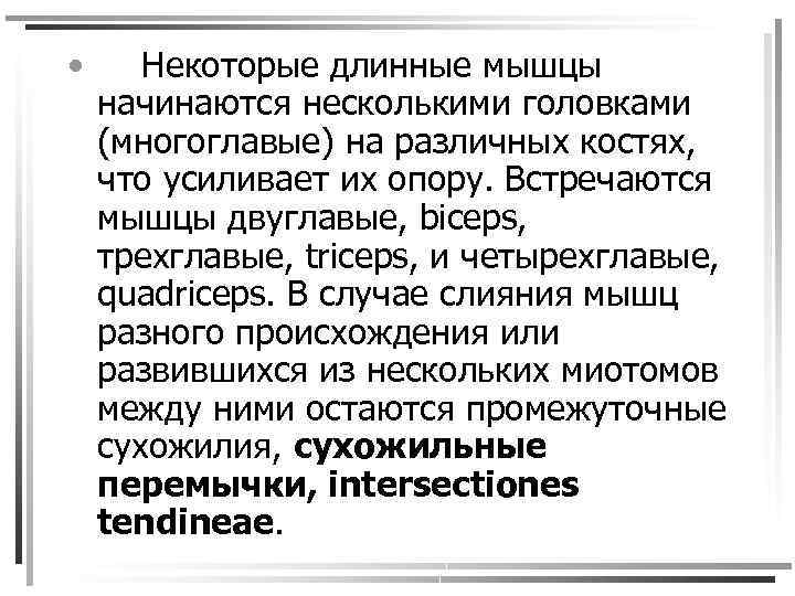  • Некоторые длинные мышцы начинаются несколькими головками (многоглавые) на различных костях, что усиливает