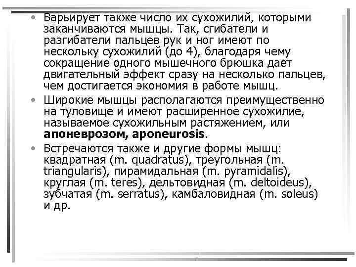  • Варьирует также число их сухожилий, которыми заканчиваются мышцы. Так, сгибатели и разгибатели