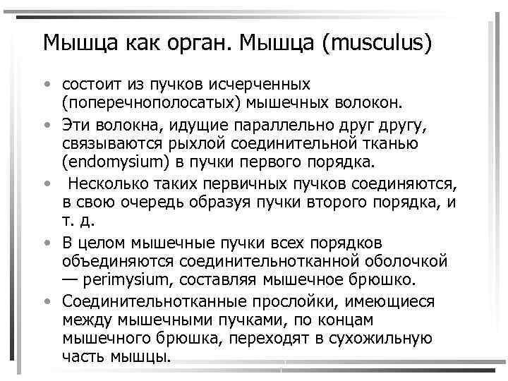 Мышца как орган. Мышца (musсulus) • состоит из пучков исчерченных (поперечнополосатых) мышечных волокон. •