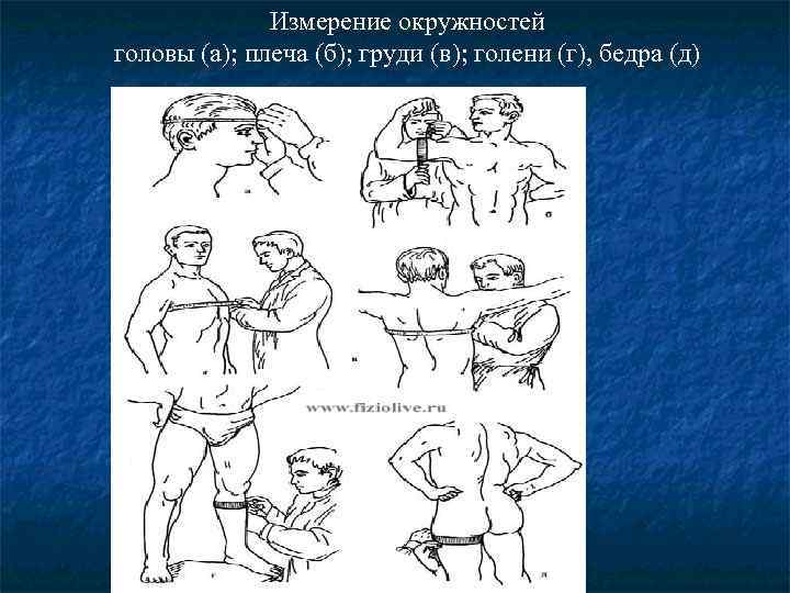 Измерение окружностей головы (а); плеча (б); груди (в); голени (г), бедра (д) 