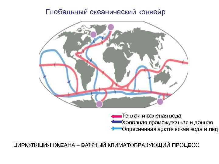 Глобальный океанический конвейр Gerdes, 2005 Теплая и соленая вода Холодная промежуточная и донная Опресненная