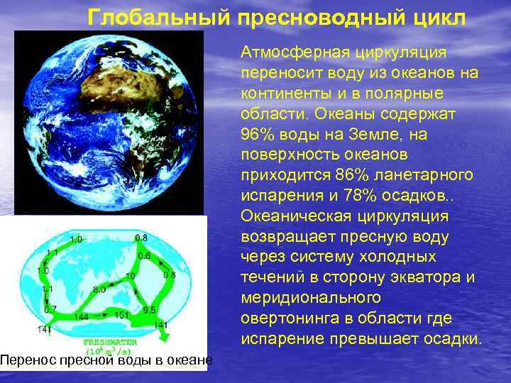 Полярные области земли презентация