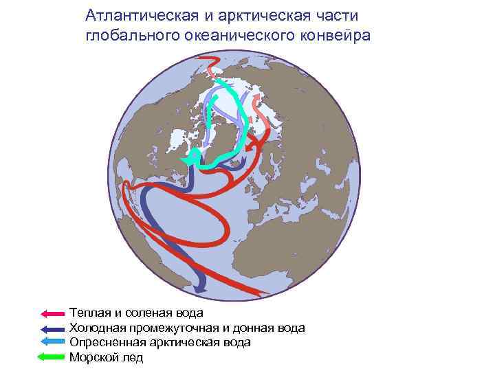Атлантическая и арктическая части глобального океанического конвейра Теплая и соленая вода Холодная промежуточная и