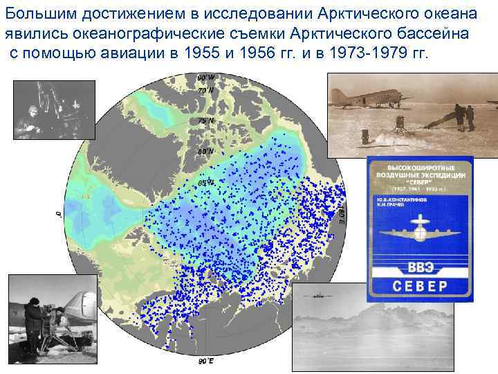 Арктический бассейн специализация