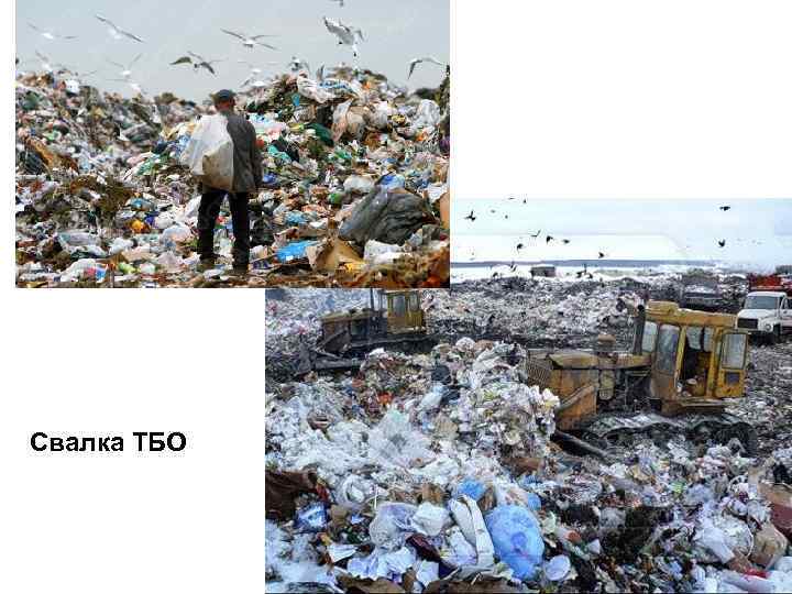 Свалка ТБО 