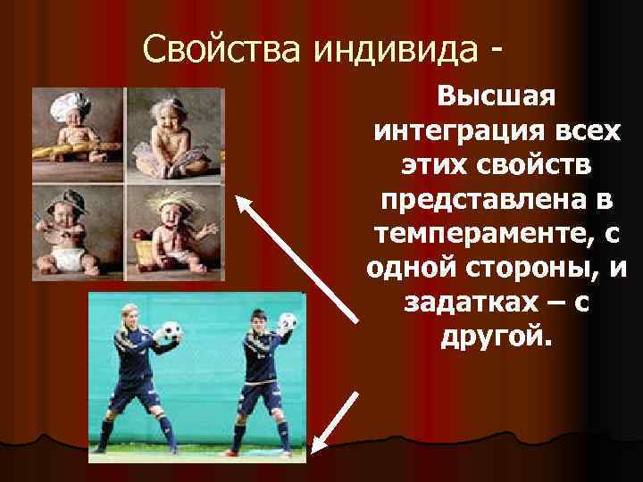 Свойства индивида - Высшая интеграция всех этих свойств представлена в темпераменте, с одной стороны,